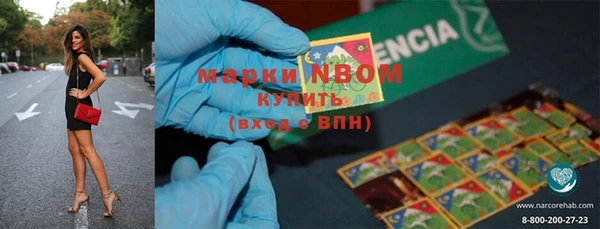 гидра Михайловка