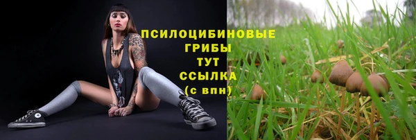 амфетамин Медногорск