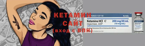 гидра Михайловка