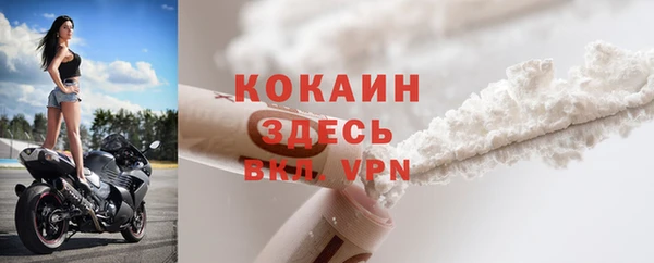 гидра Михайловка