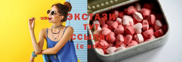 гидра Михайловка