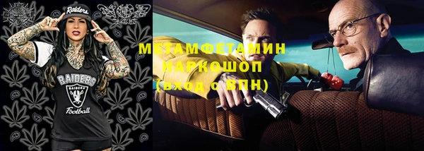 гидра Михайловка