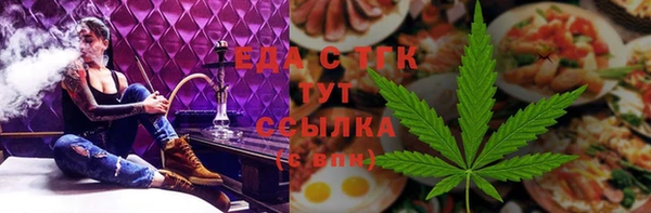 крисы Надым