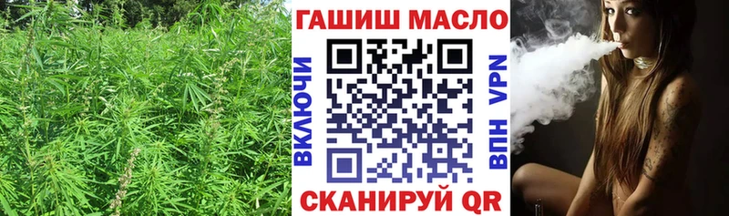 Купить закладки  Гай  Дистиллят ТГК концентрат 