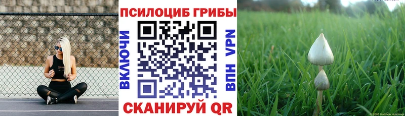 Галлюциногенные грибы Cubensis  Купить  Гай 